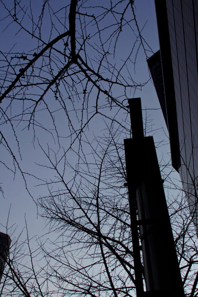 DSC_1316.JPG
