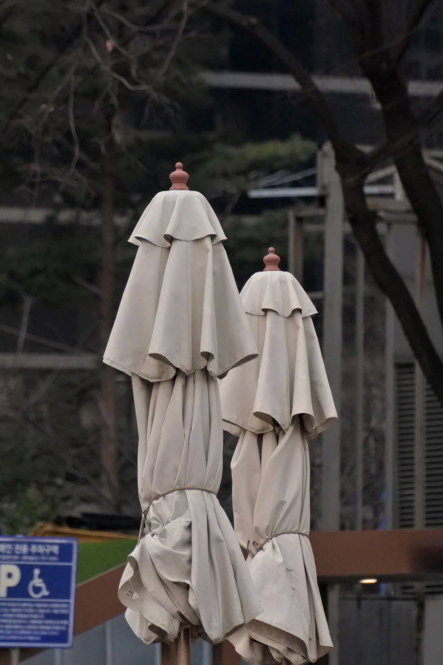 DSC_1506.JPG