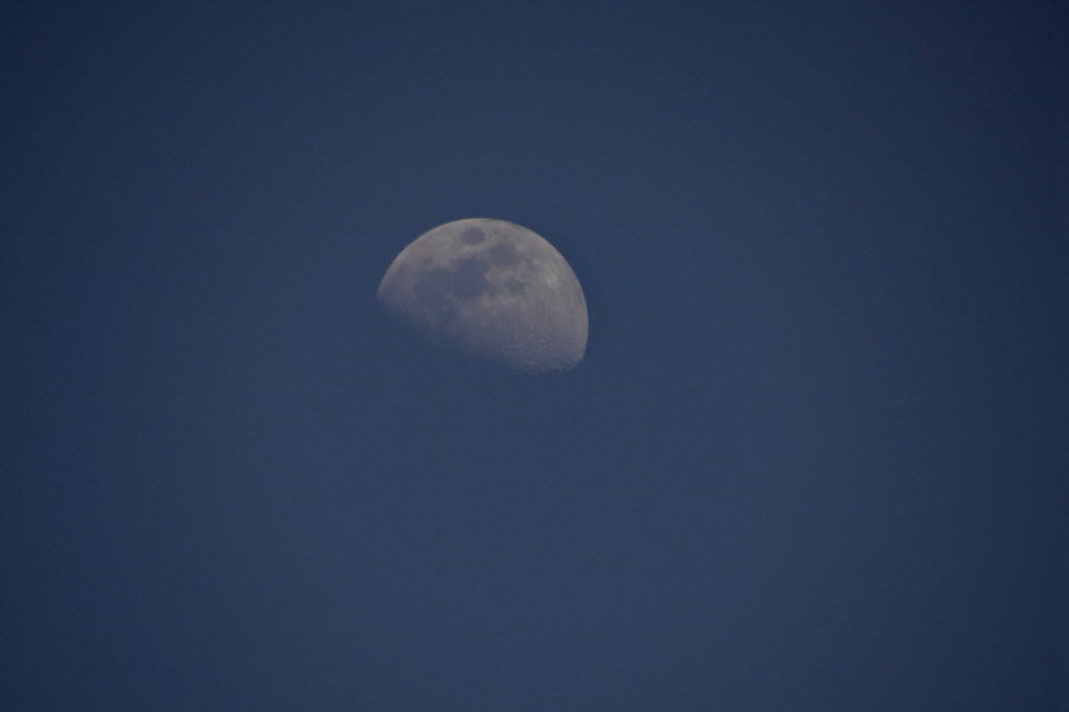 DSC_1274.JPG