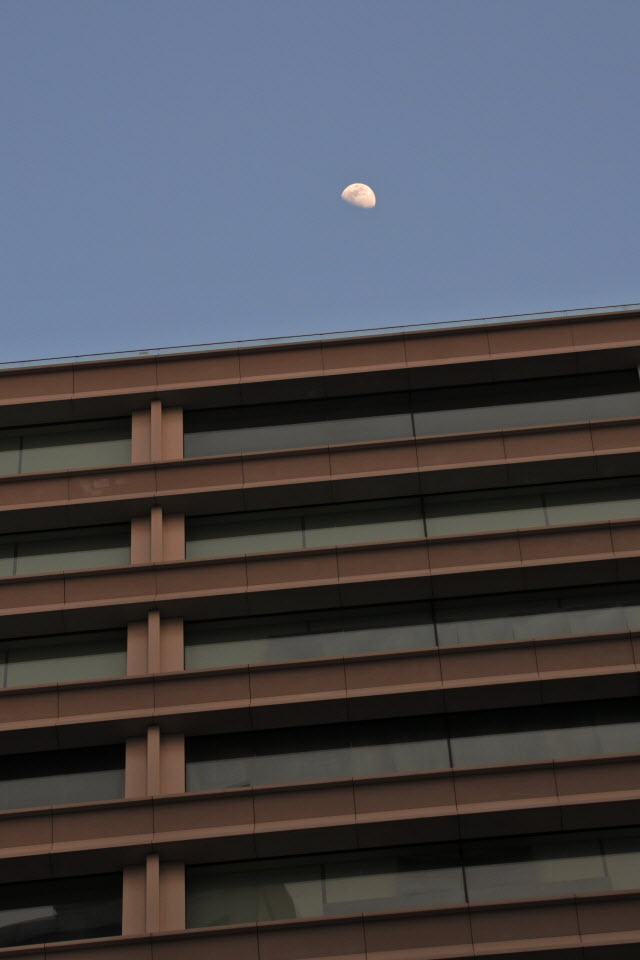 DSC_1491.JPG