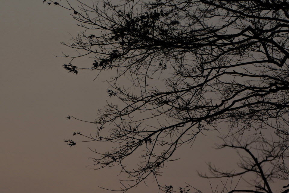 DSC_1497.JPG