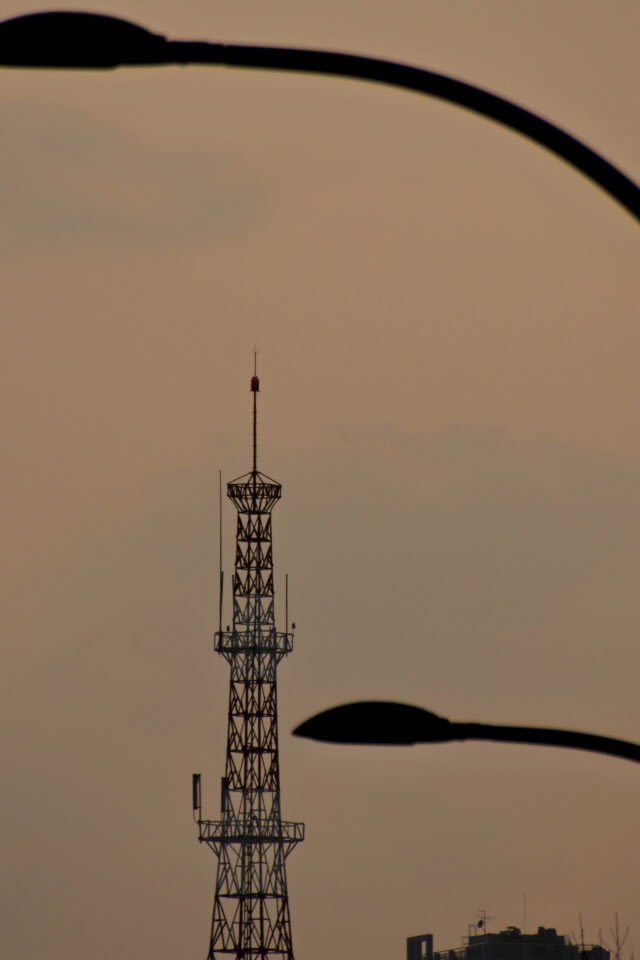 DSC_1366.JPG