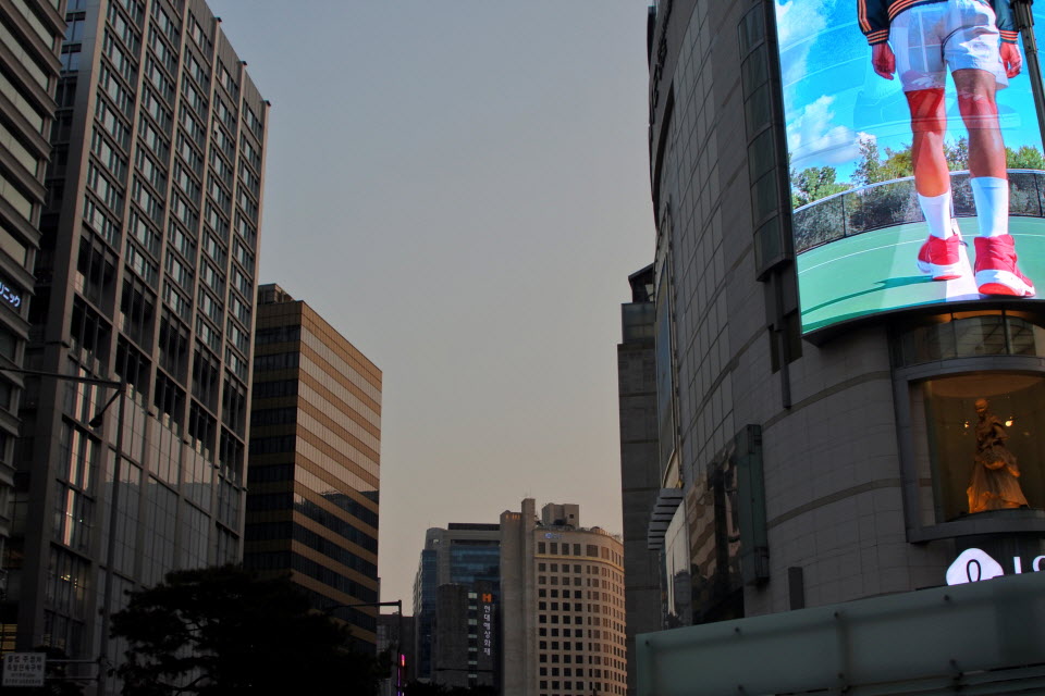 DSC_1502.JPG