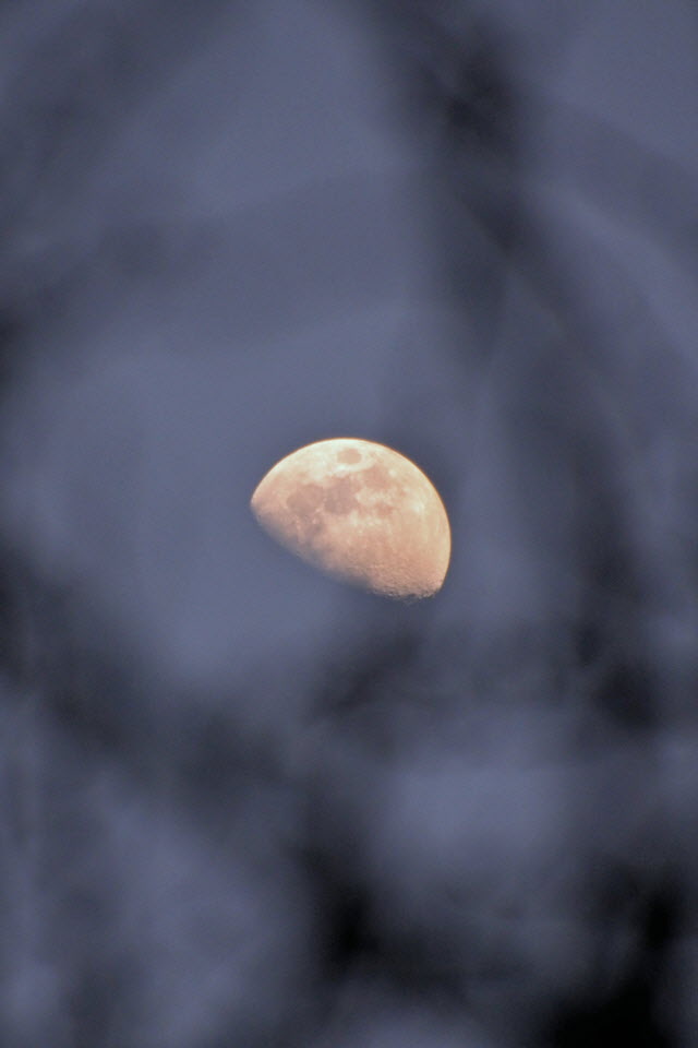 DSC_1525.JPG