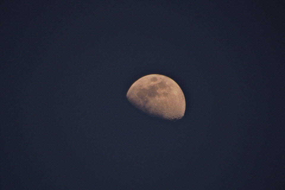 DSC_1528.JPG