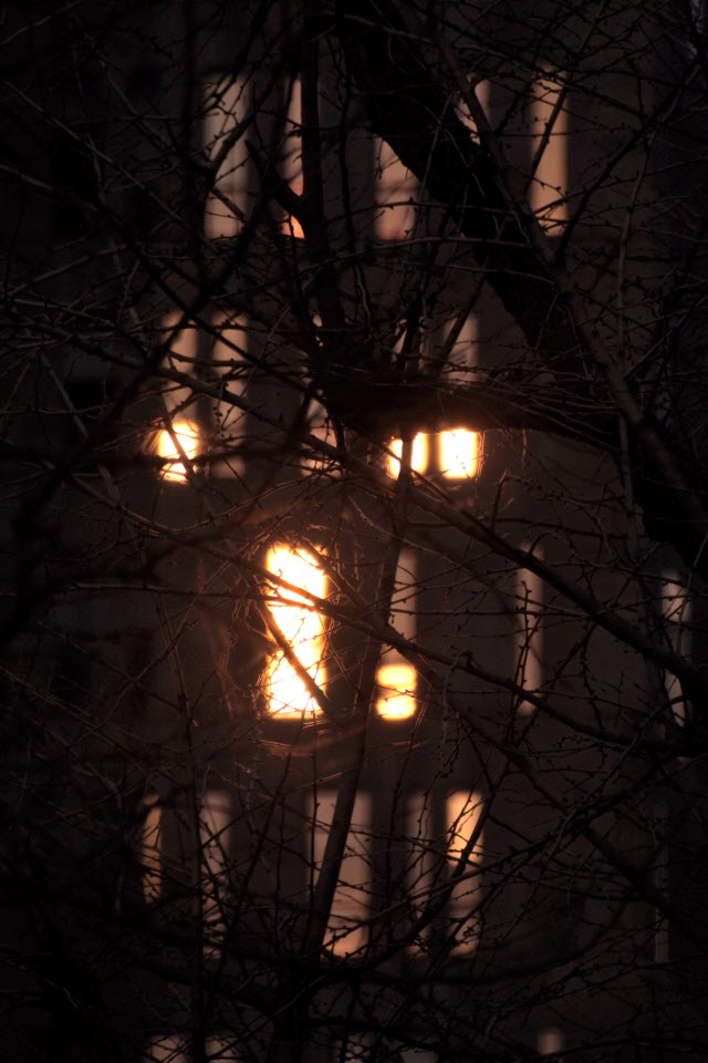 DSC_1456.JPG