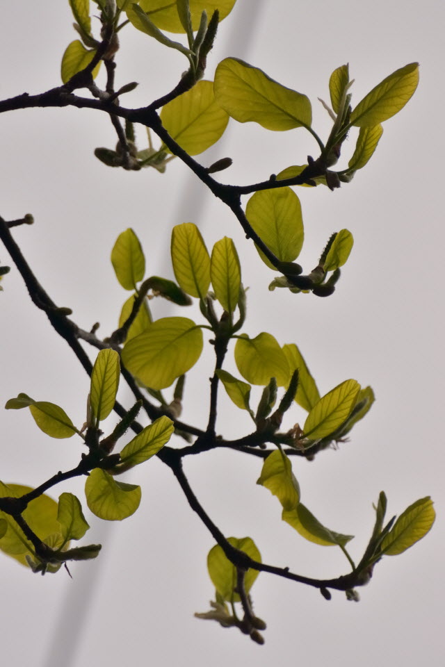 DSC_3282.JPG