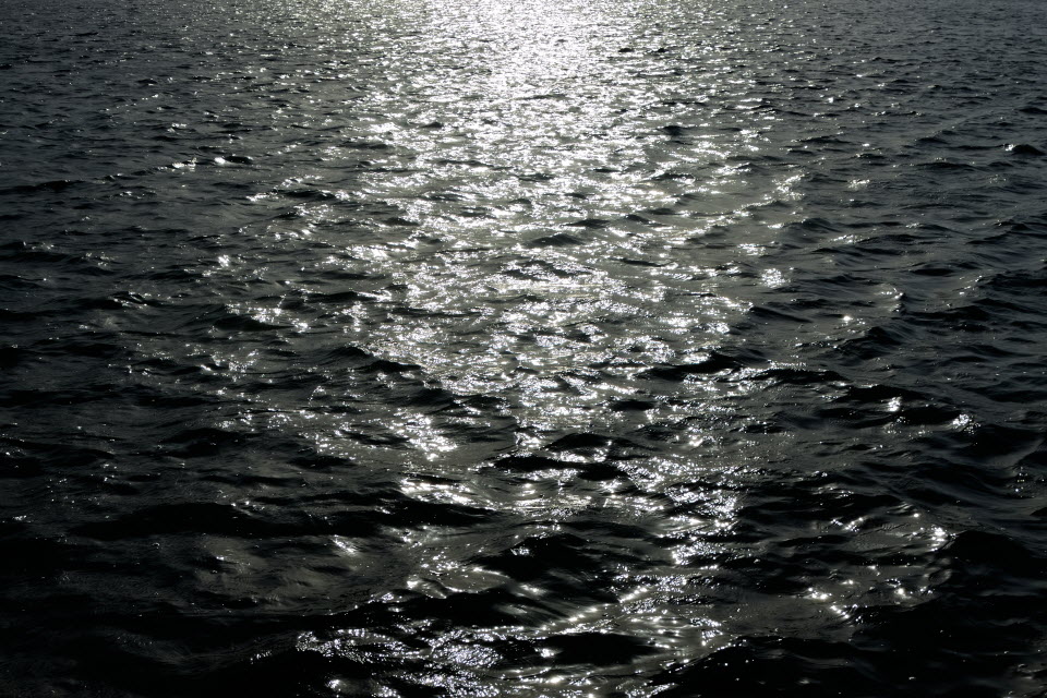 DSC_3346.JPG