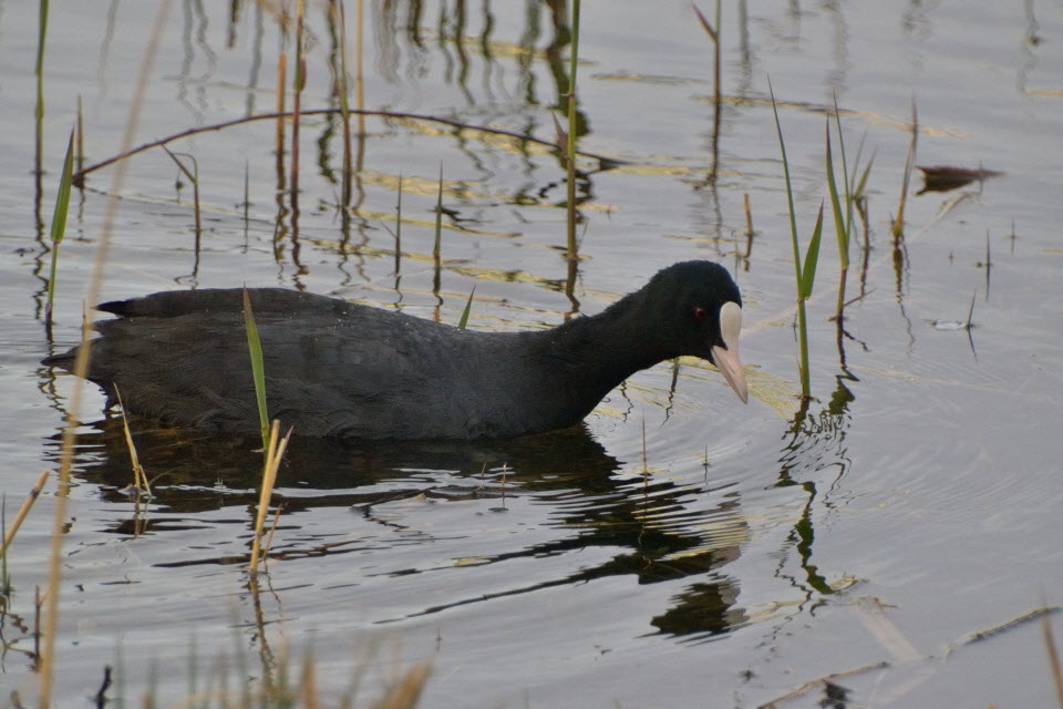DSC_3494.JPG