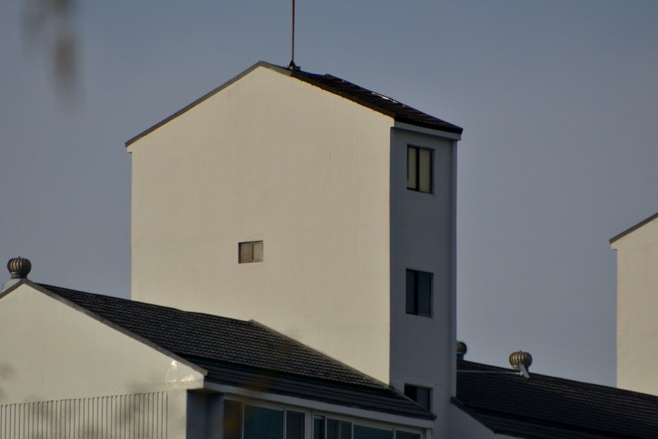 DSC_3444.JPG