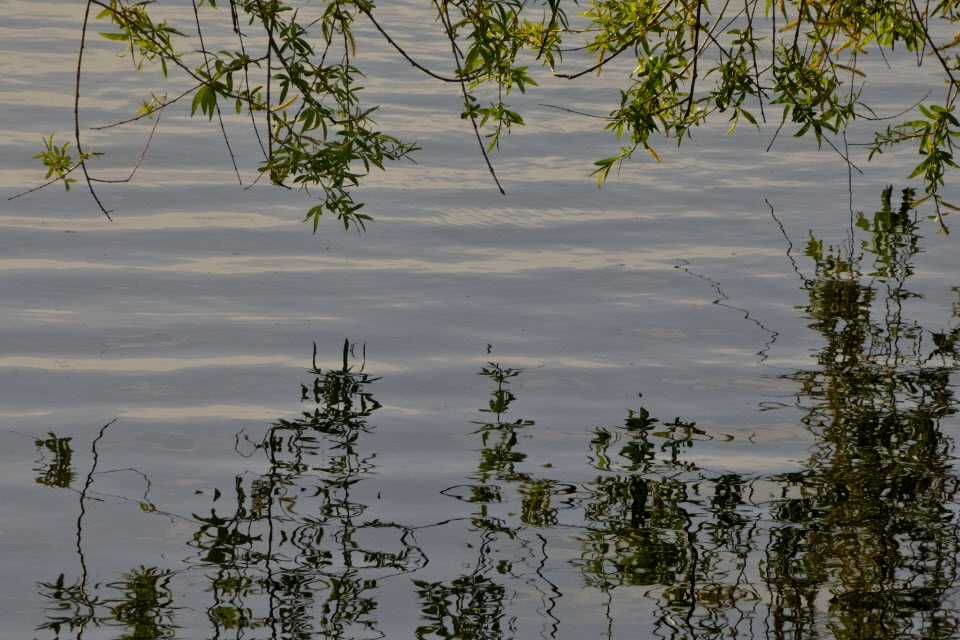 DSC_3391.JPG
