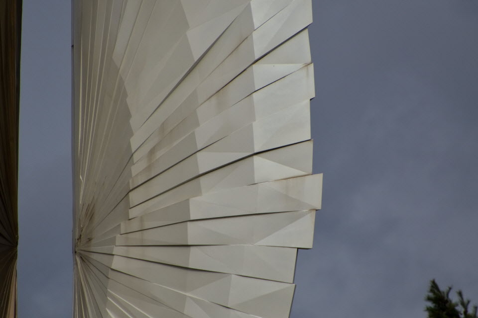 DSC_3311.JPG