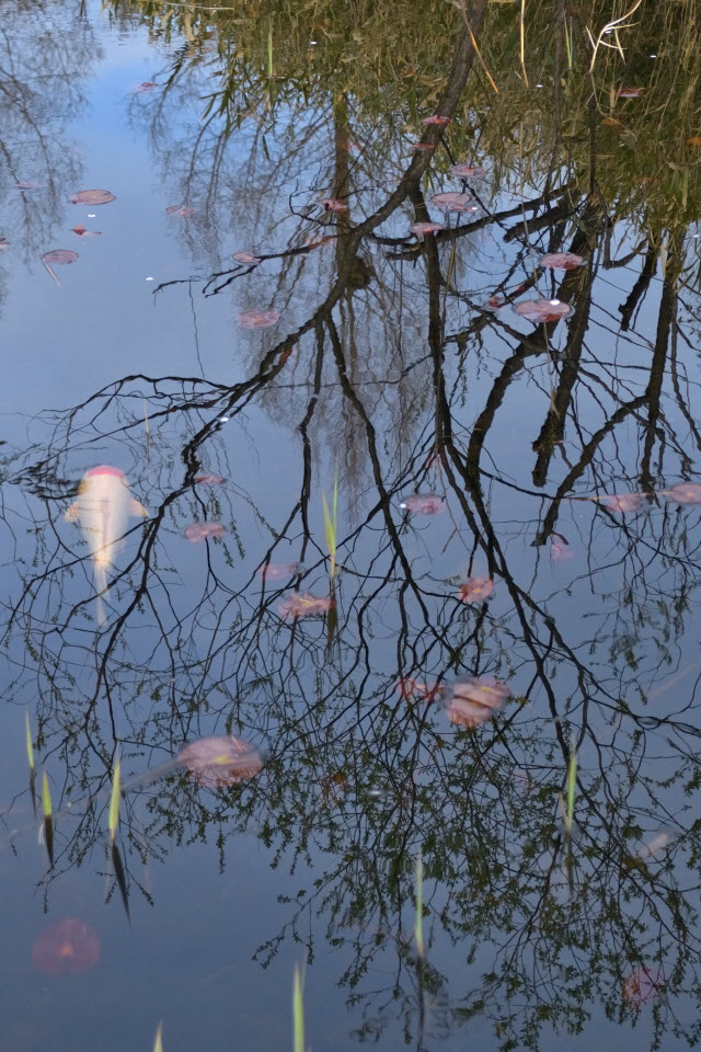 DSC_3466.JPG