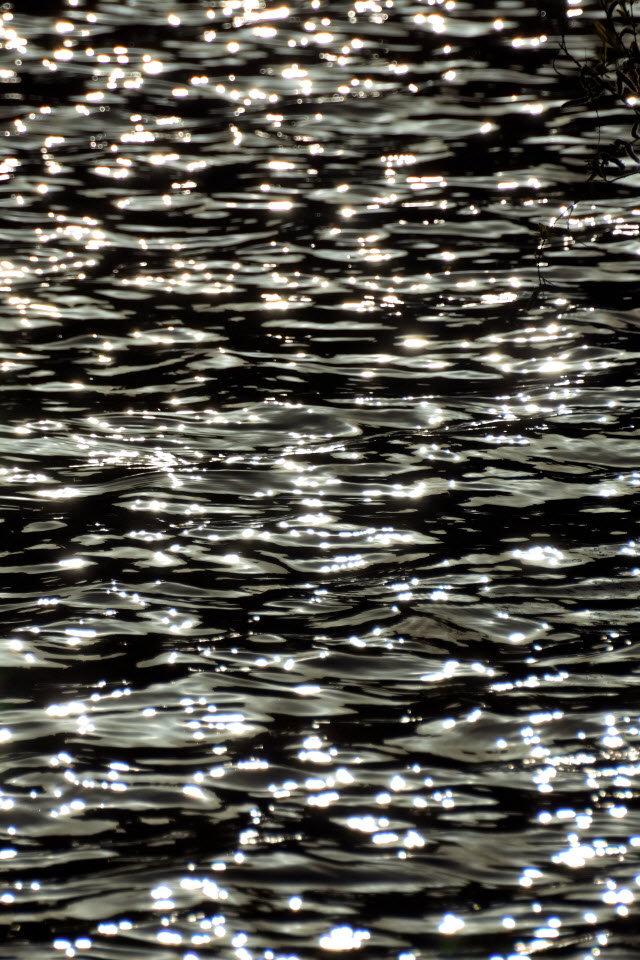 DSC_3438.JPG