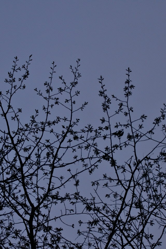 DSC_3553.JPG
