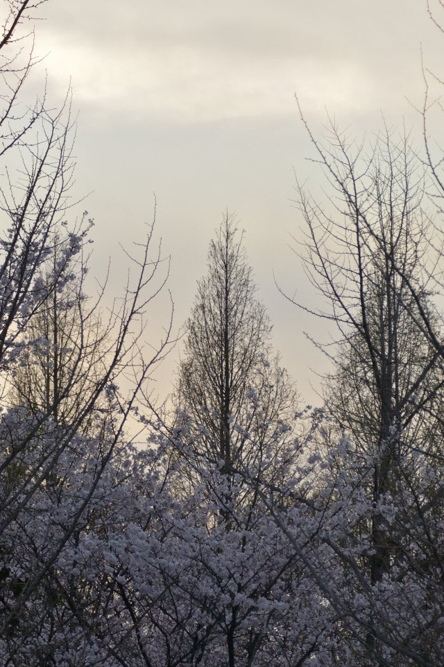 DSC_3532.JPG