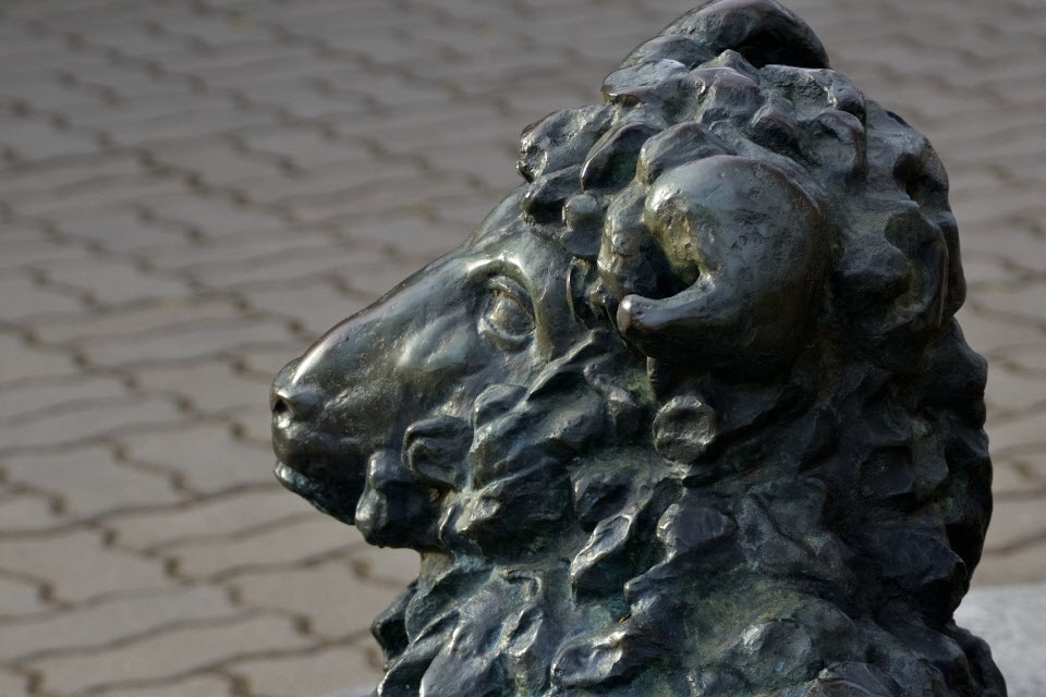 DSC_3453.JPG