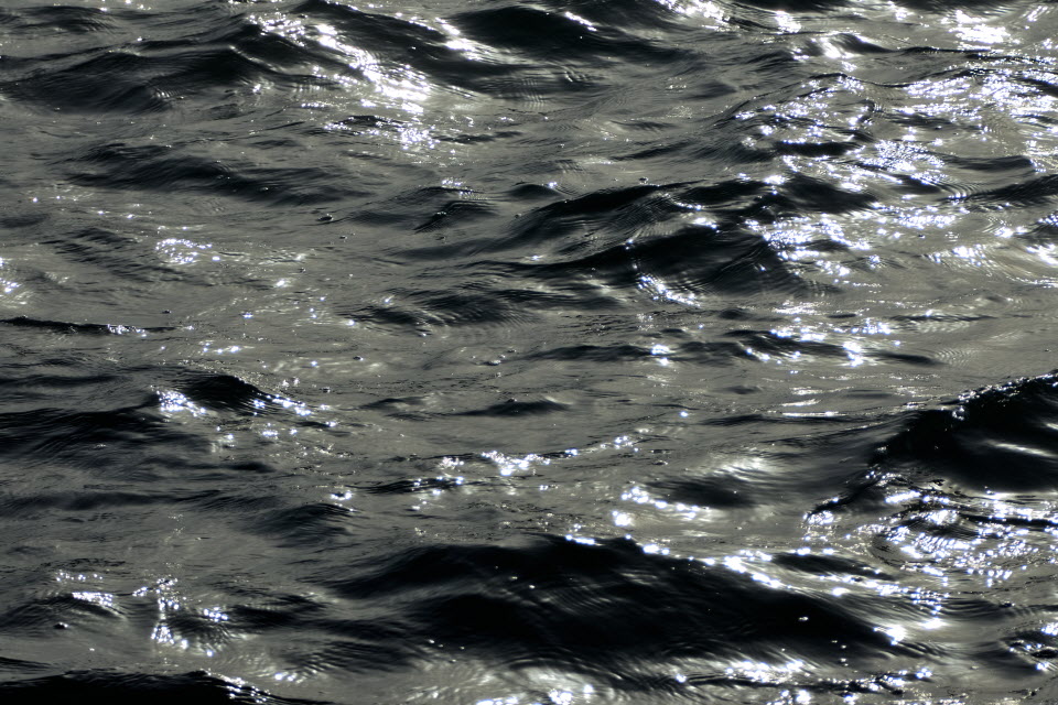 DSC_3357.JPG