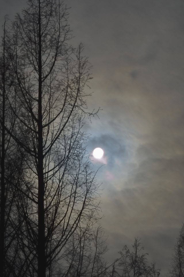 DSC_3315.JPG