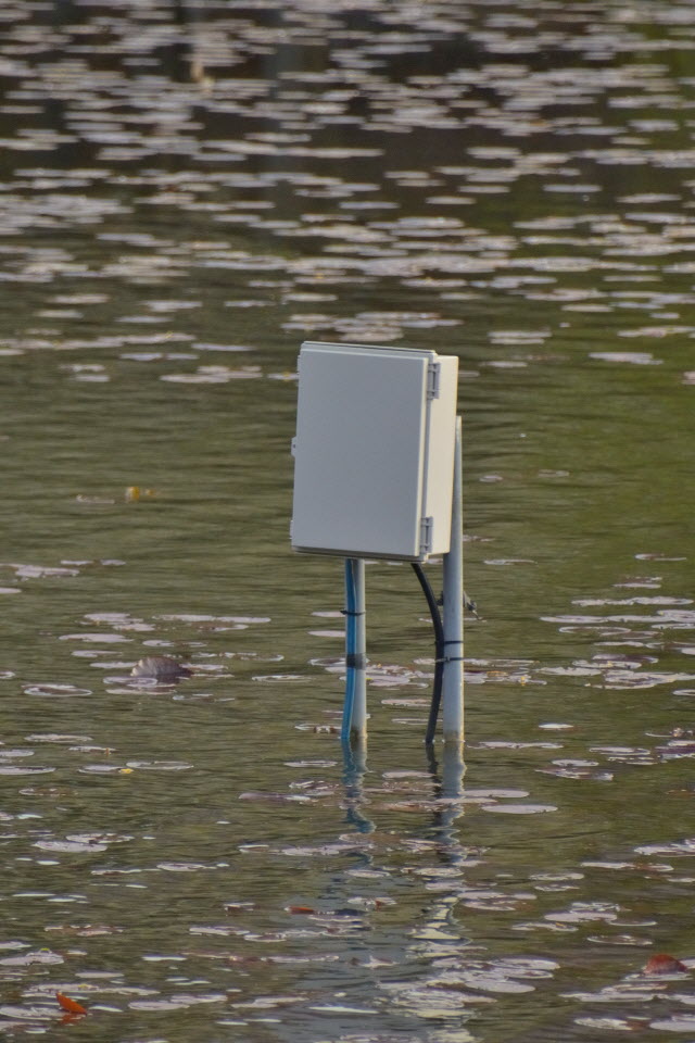 DSC_3449.JPG