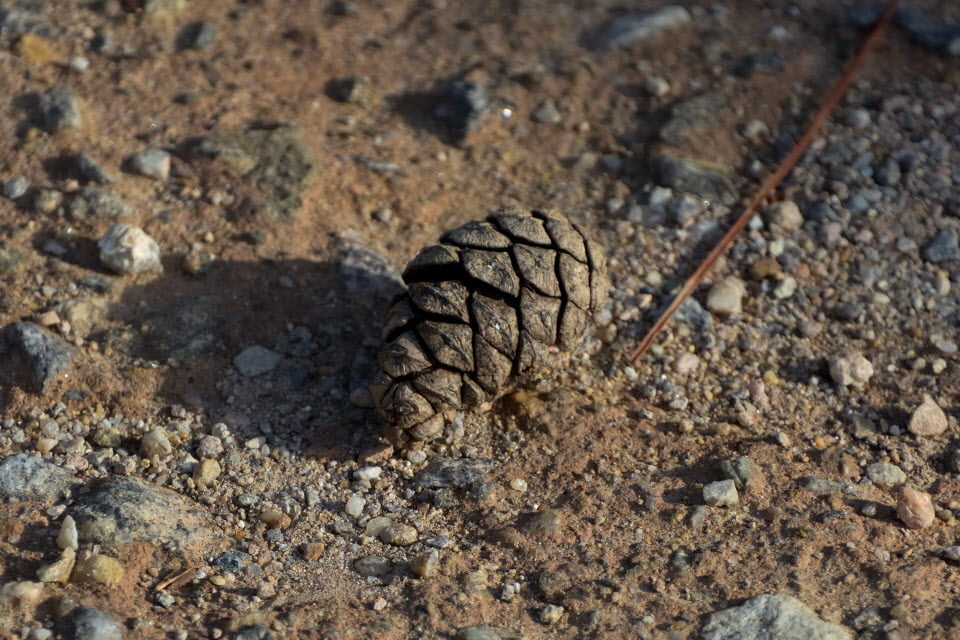 DSC_3382.JPG
