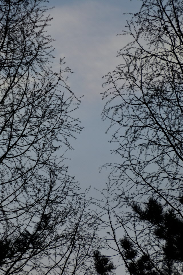 DSC_3525.JPG
