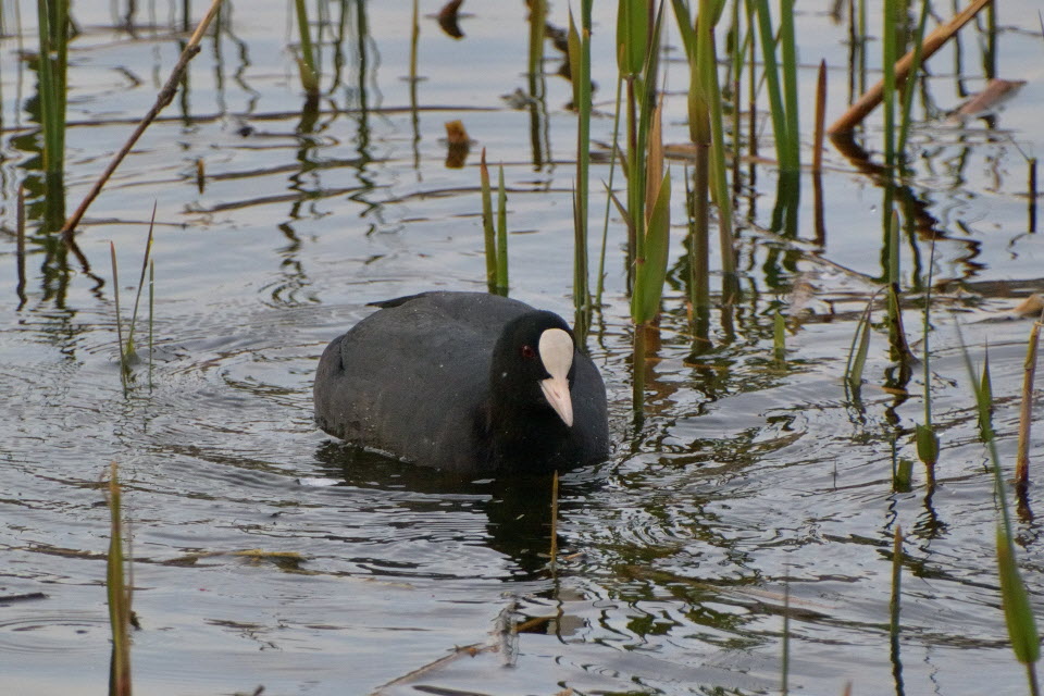 DSC_3489.JPG
