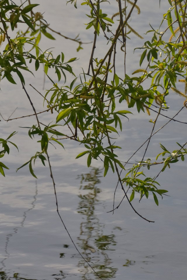 DSC_3401.JPG