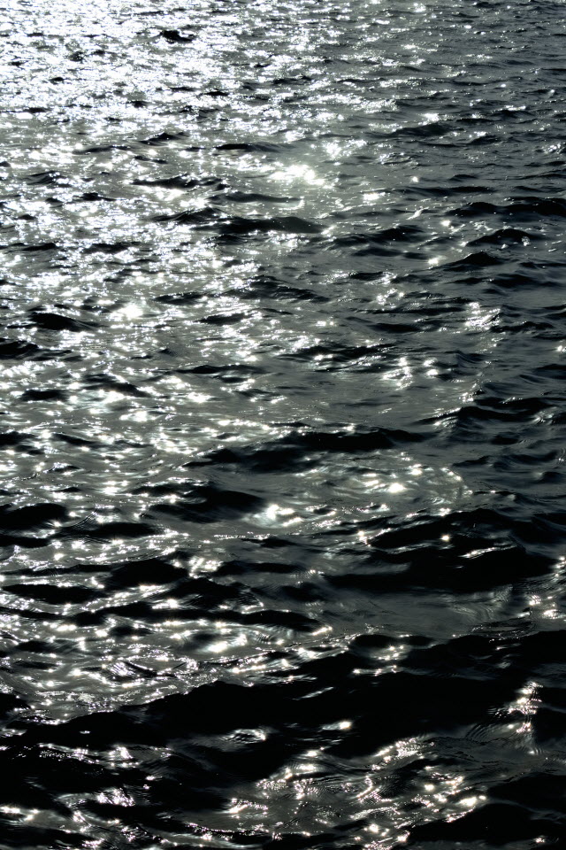 DSC_3355.JPG
