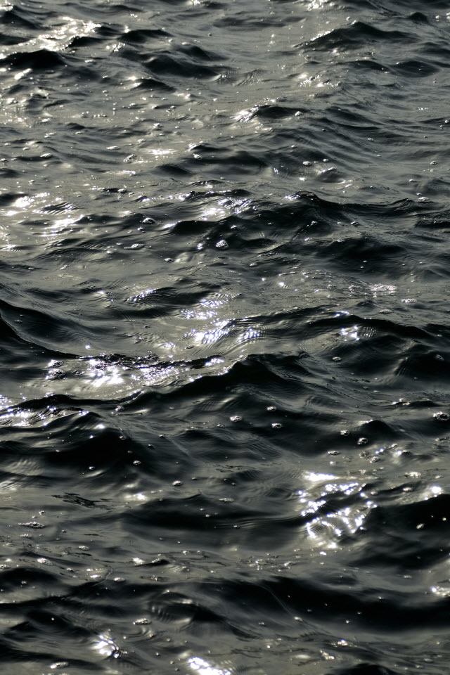 DSC_3358.JPG