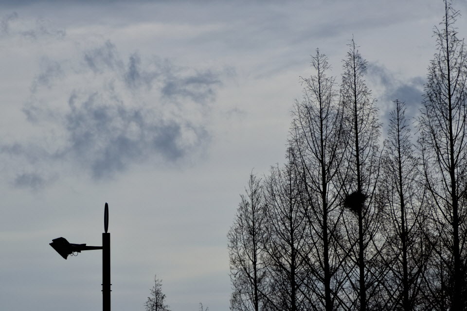 DSC_3310.JPG