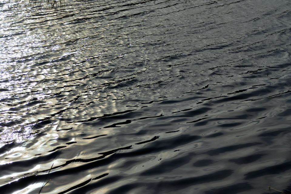 DSC_3423.JPG