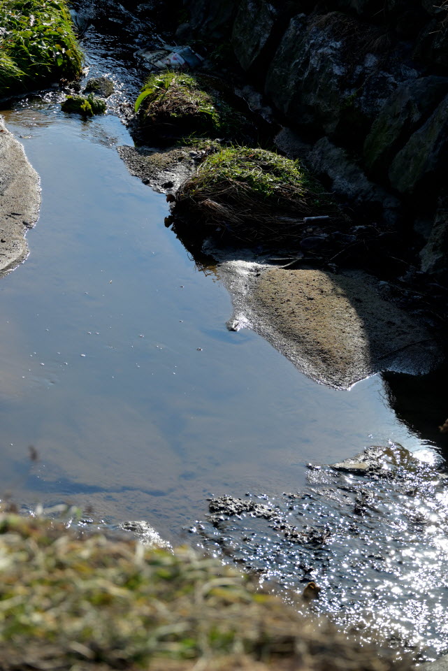DSC_1474.JPG