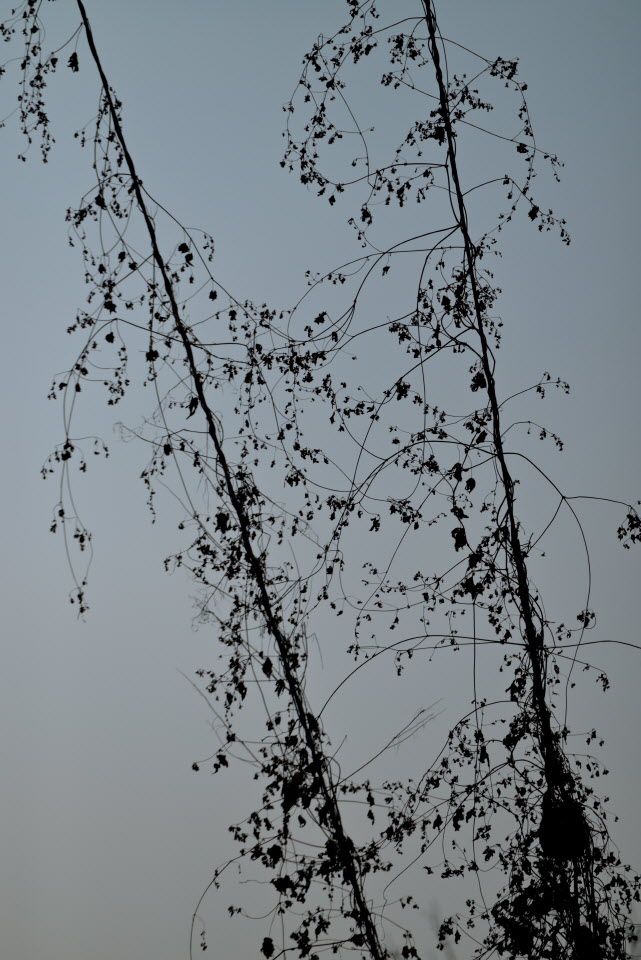 DSC_1432.JPG