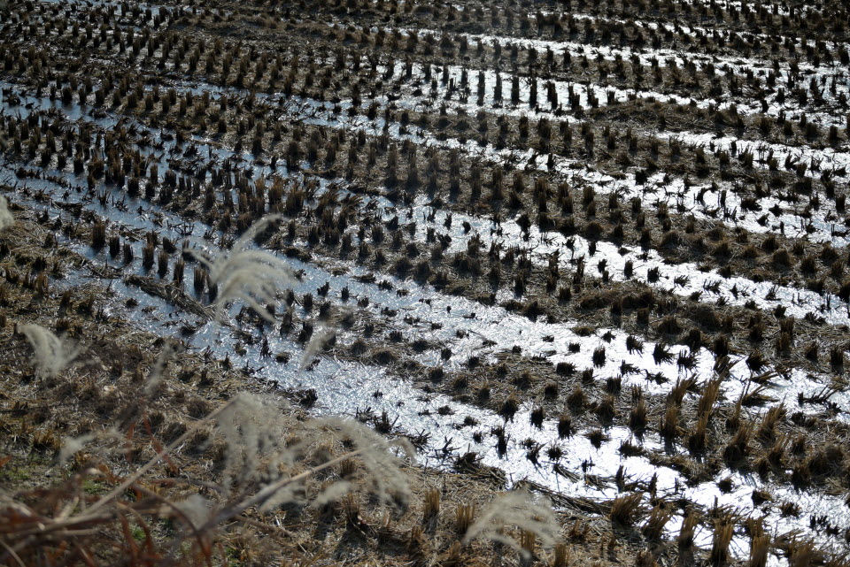 DSC_1436.JPG
