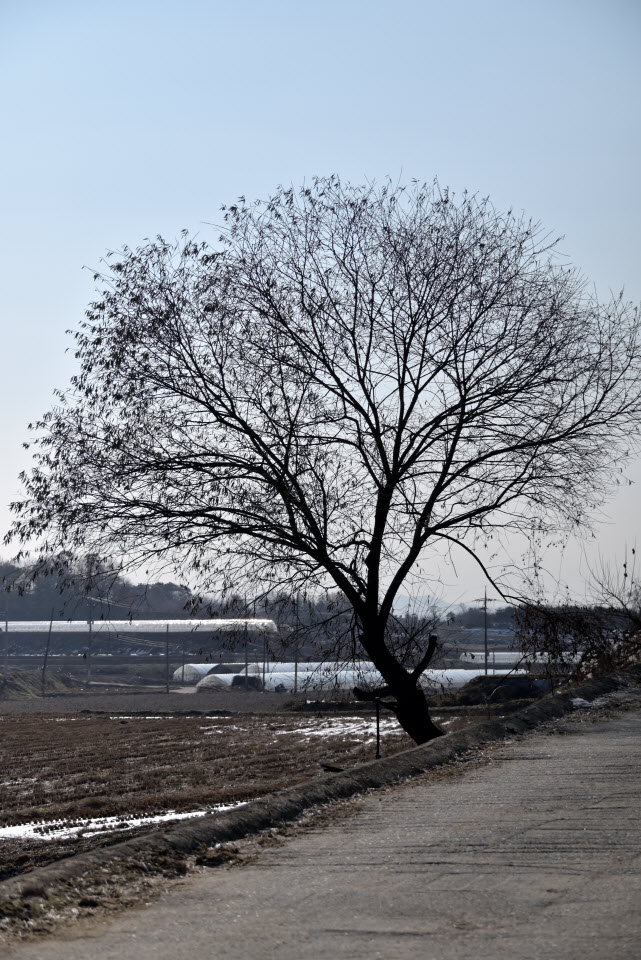 DSC_1477.JPG