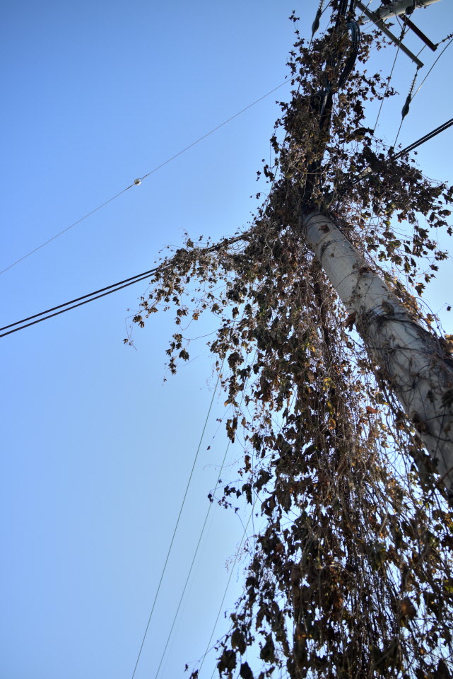 DSC_1429.JPG