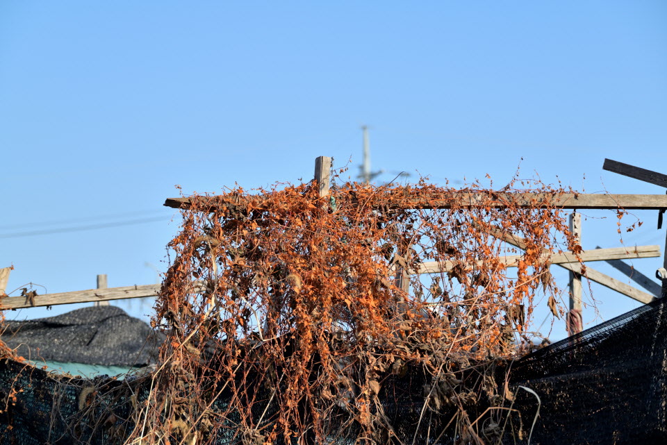 DSC_1396.JPG