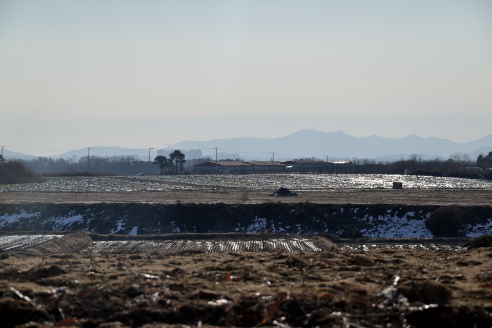 DSC_1441.JPG