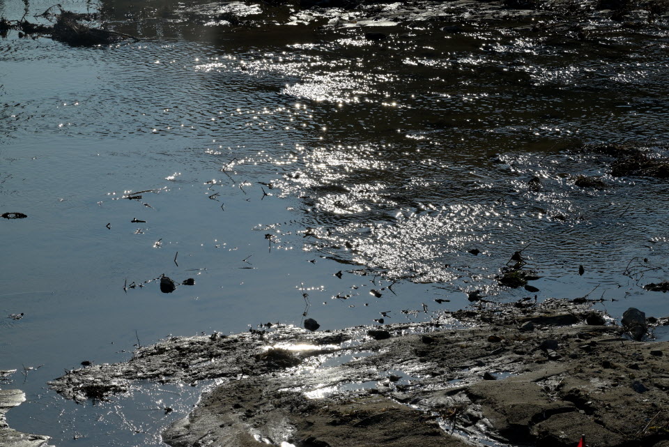 DSC_1405.JPG