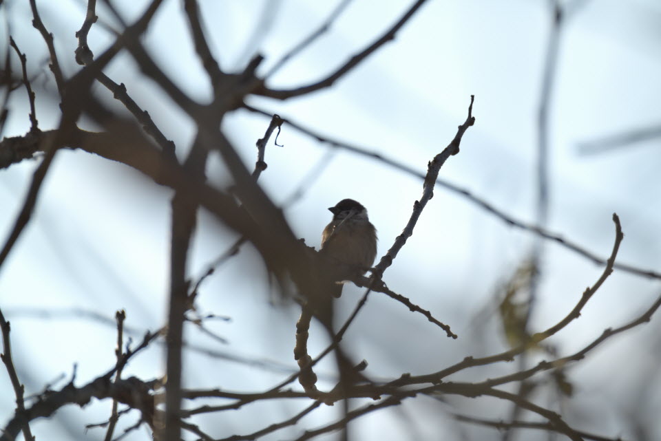 DSC_1444.JPG