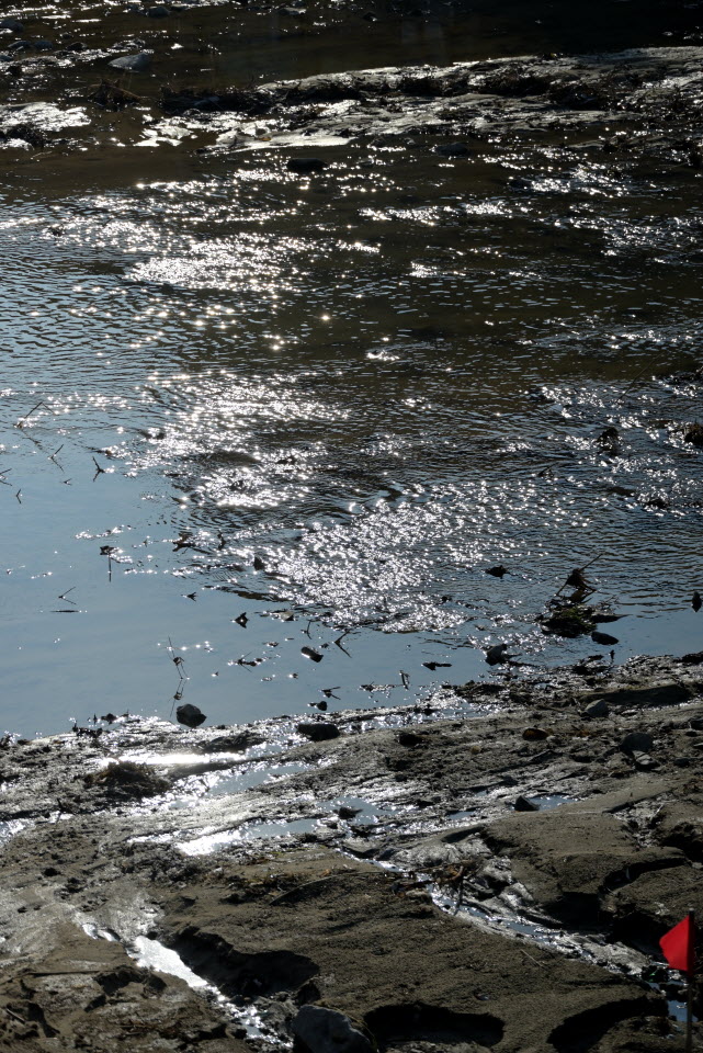 DSC_1404.JPG