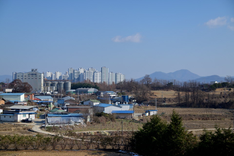 DSC_1489.JPG