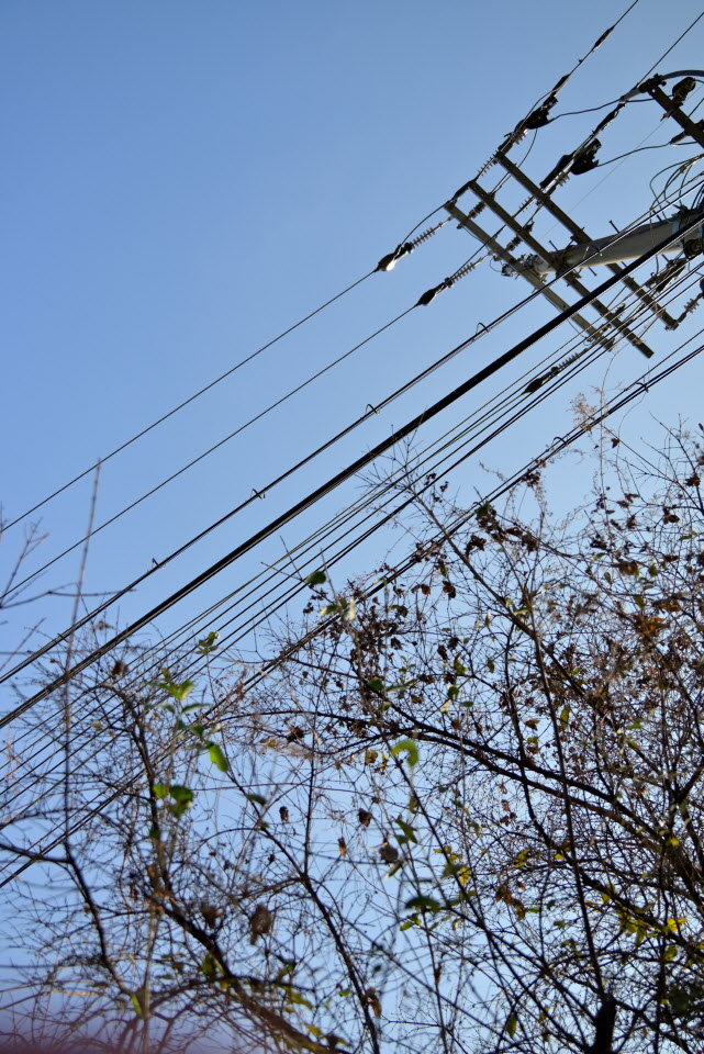 DSC_1454.JPG