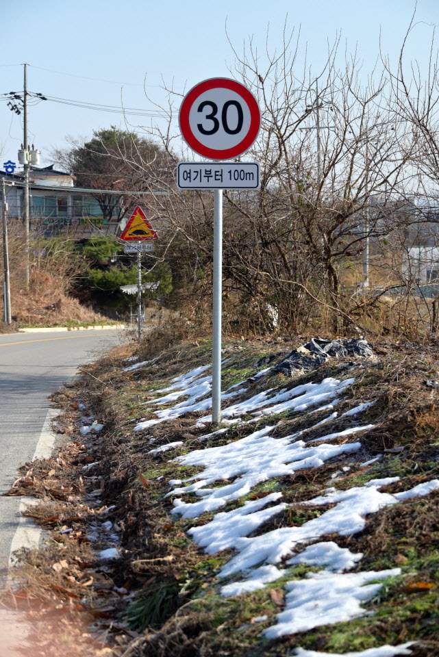 DSC_1443.JPG