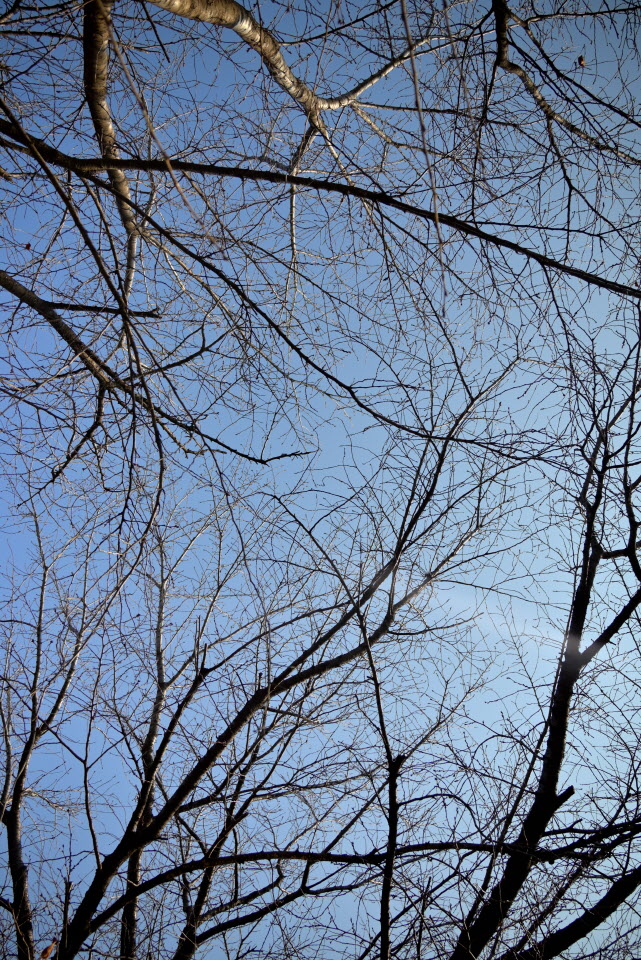 DSC_1412.JPG