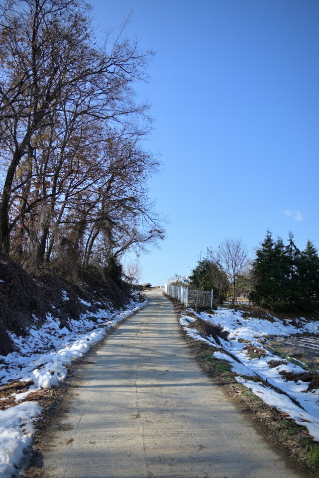 DSC_1484.JPG