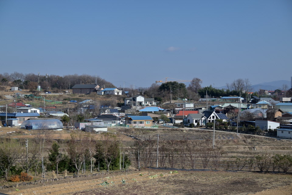 DSC_1490.JPG