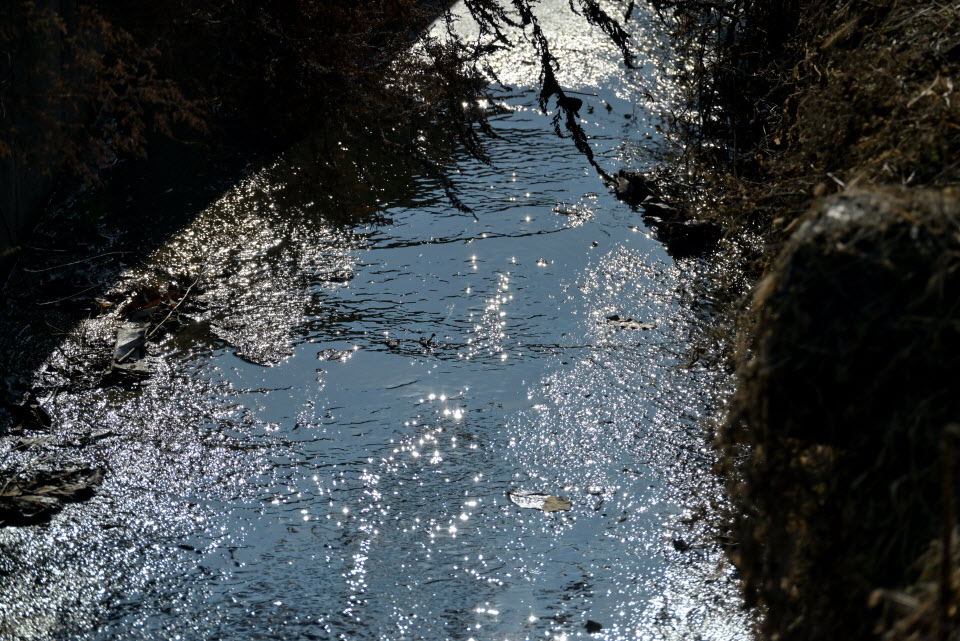 DSC_1435.JPG