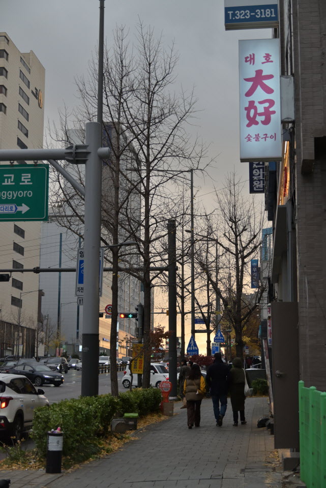 DSC_1378.JPG